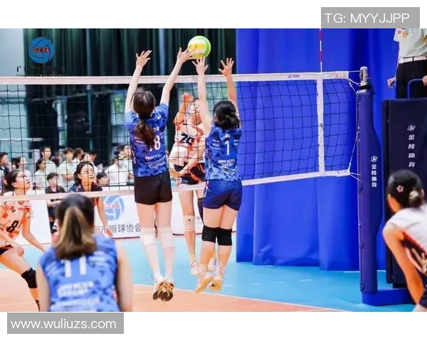 广州排球队在排球节奏排名中创下新高引发热议与期待