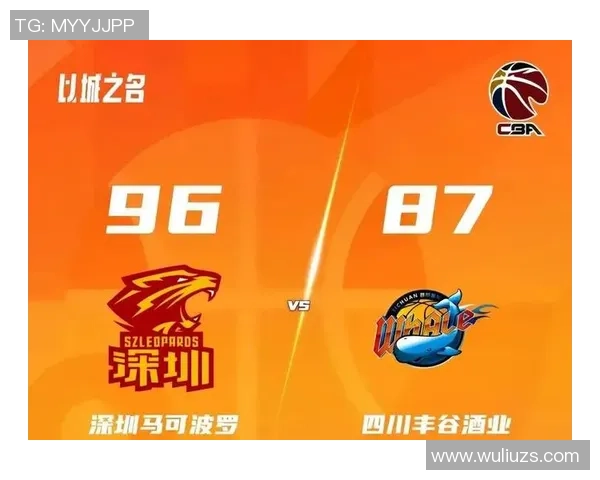 深圳羽毛球队状态飙升位列最新TOP10榜首引领羽坛风潮